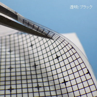 Gunprimer CG-TG Custom Guide Gray / Transparent